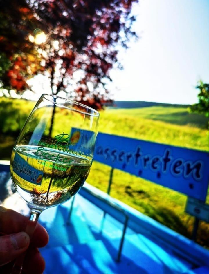 Appartamento Ferienweingut & Gutsrestaurant Becker Burgen  Esterno foto