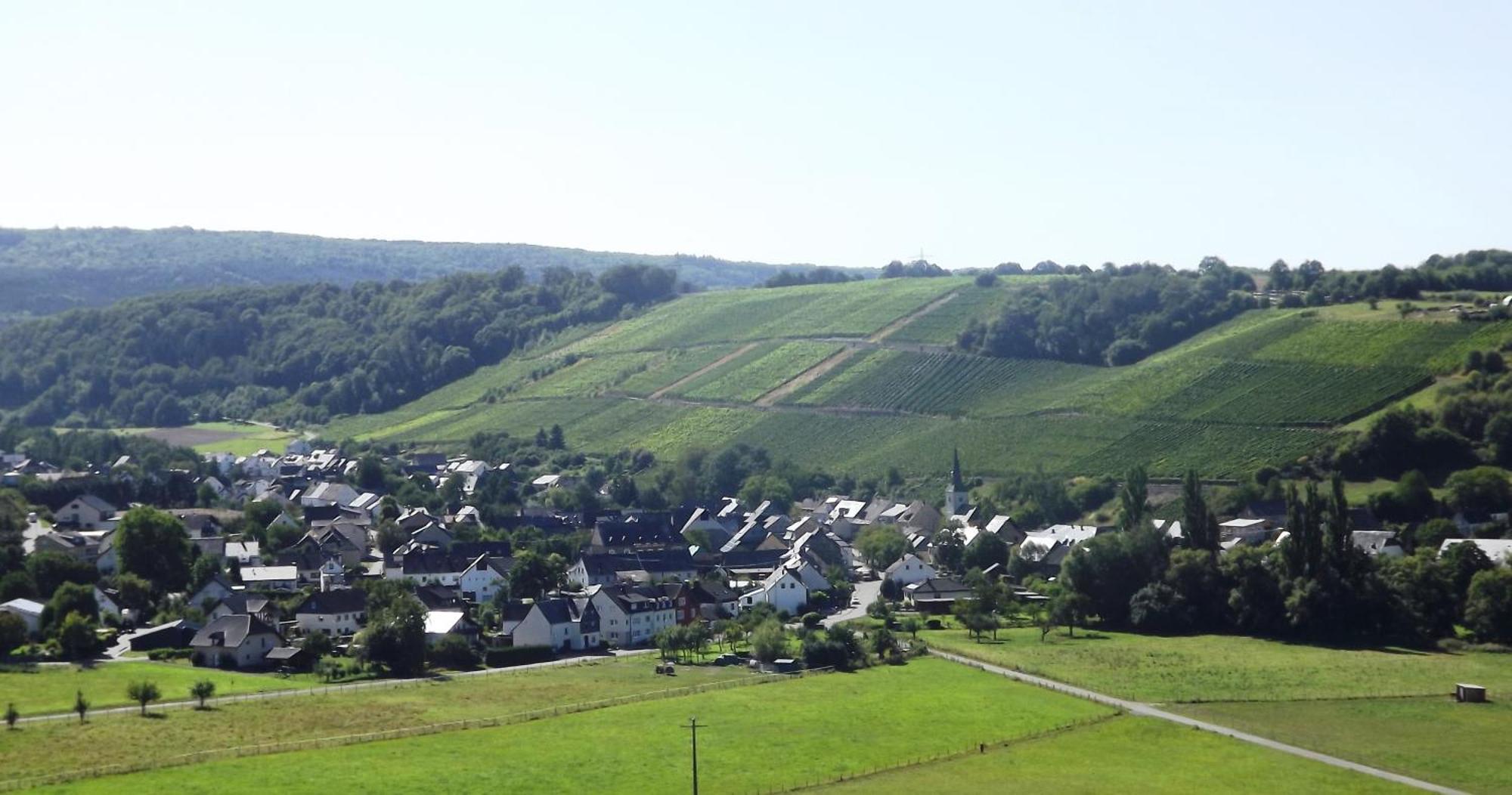 Appartamento Ferienweingut & Gutsrestaurant Becker Burgen  Esterno foto